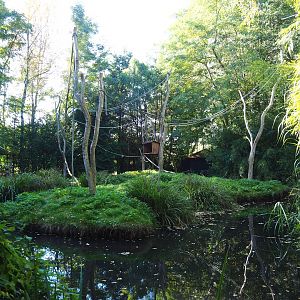 Island temporarily housing split-off group of Ring-tailed lemurs (Normally crowned lemur island), 2022-10-09