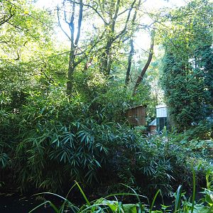 Bolivian squirrel monkey and Red-faced black spider monkey island, 2022-10-09
