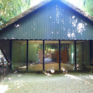 Red river hog and Western pygmy hippopotamus house, 2022-10-09