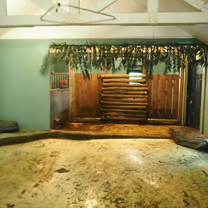 Indoor housing for Western pygmy hippopotamuses and Red river hogs, 2022-10-09