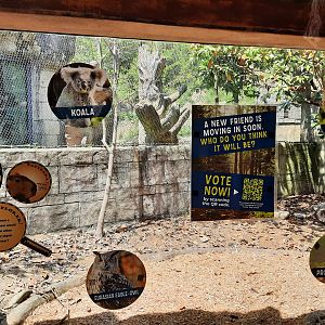 Former Capybara Exhibit 2