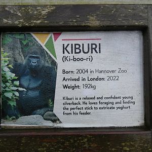 Signage for new male gorilla