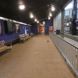 Giraffe house viewing area