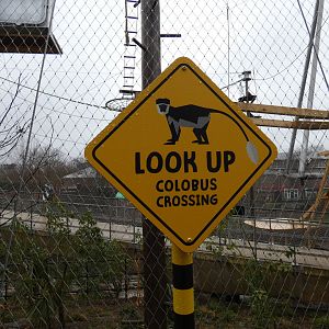 Colobus signage