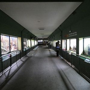 View in reptile house