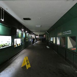 View in reptile house