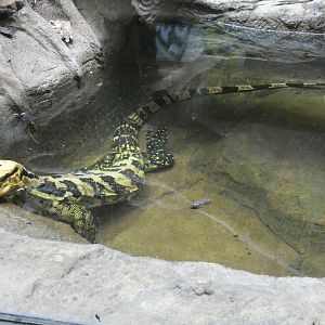 Mindanao water monitor