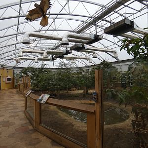 Galapogas giant tortoise house