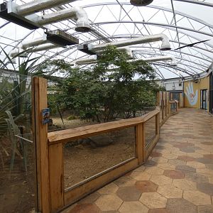 Galapogas giant tortoise house