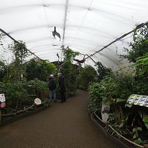 Butterfly house