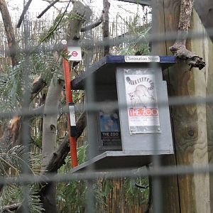 Bus stop tamarin enrichment