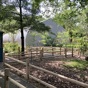 Budgie Experience Entrance Sneak Peek