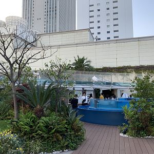 Rooftop Exhibits