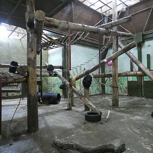Chimpanzee indoor enclosure