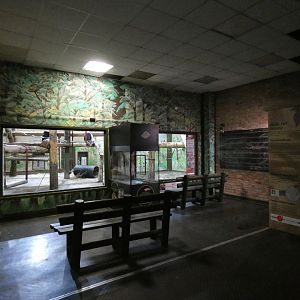 Chimpanzee indoor viewing area