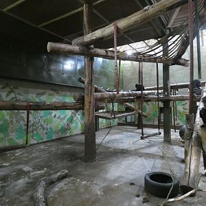 Chimpanzee indoor enclosure