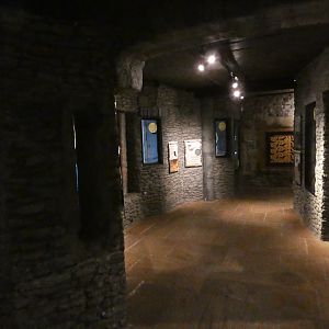 View in 'Castle Creatures'