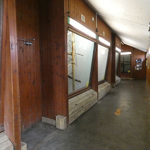 View in small monkey house