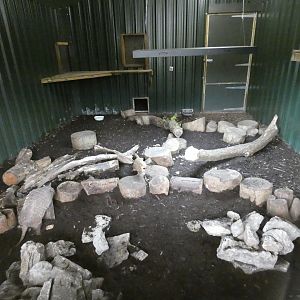 Six-banded armadillo enclosure