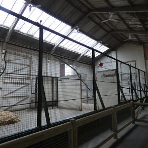 Giraffe indoor enclosure