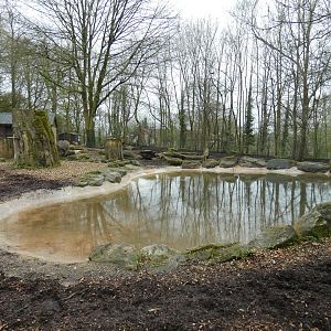 Brazilian tapir and capybara enclosure