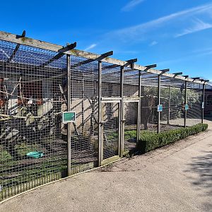 Entrance aviaries