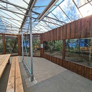 Entrance hall -  Common squirrel monkeys enclosure