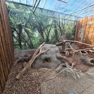 Entrance hall - Common cusimanse enclosure