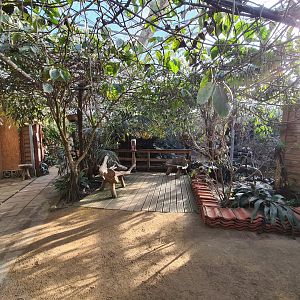 Butterfly hall - Sitting place
