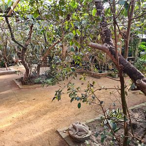 Butterfly hall - Main view