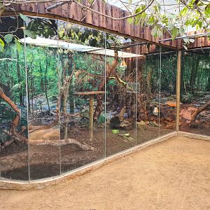 Butterfly hall - Iguana and Red-footed tortoise enclosure