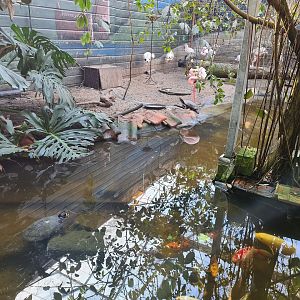 Butterfly hall - Flamingo beach