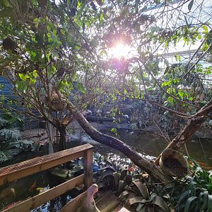 Butterfly hall - Pond