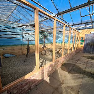 Meerkat and Yellow-crowned Bishop enclosure