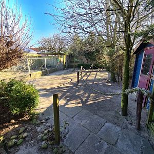 Outside area - Main Bennett wallaby area
