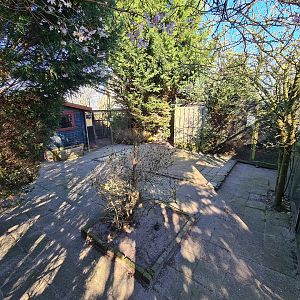Outside area - Bird of prey aviaries