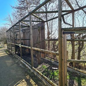 Outside area - Ural owl (front) and Barn owl (back) aviaries