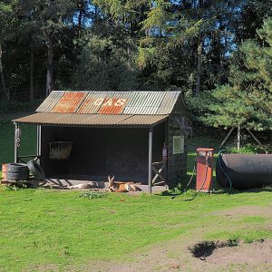 Emu, Kangaroo and Wallaby walk-through - Outback gas station theming, 2022-10-09