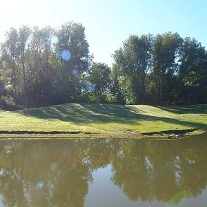 Outback - Dromedary camel paddock, 2022-10-09