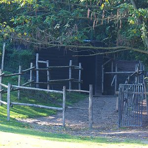 Dromedary camel barn and holding paddock, 2022-10-09