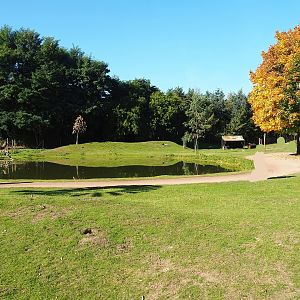 Emu, Kangaroo and Wallaby walk-through, 2022-10-09