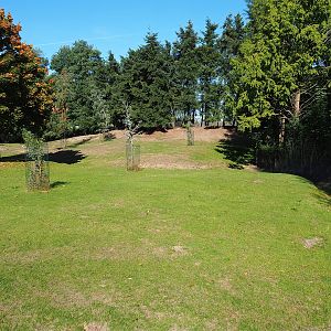 Emu, Kangaroo and Wallaby walk-through, 2022-10-09