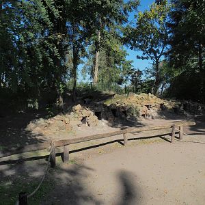 African penguin nesting area, 2022-10-09