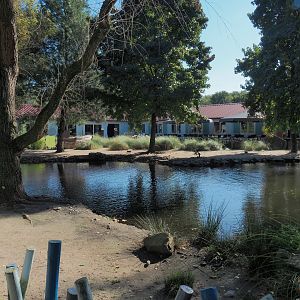 African penguin exhibit, 2022-10-09