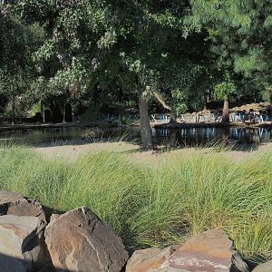 African penguin exhibit, 2022-10-09
