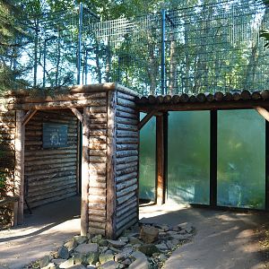 Tiger viewing window, 2022-10-09