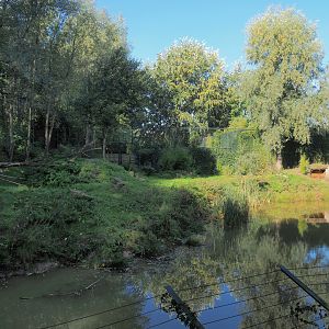 Amur tiger exhibit, 2022-10-09
