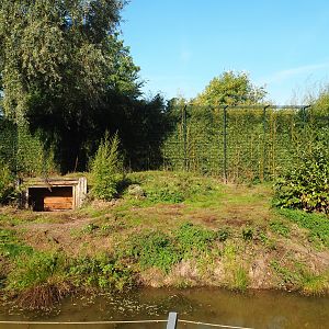 Amur tiger exhibit, 2022-10-09