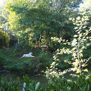 White tiger exhibit, 2022-10-09