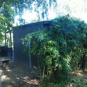 Tiger holding building, 2022-10-09